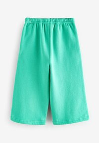 Turquoise athletic shorts made of soft fabric, featuring an elastic waistband and smooth texture, with a relaxed fit and straight cut.