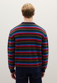 Striped wool sweater featuring horizontal stripes in red, blue, green, and brown, with a dark blue ribbed neckline and cuffs.