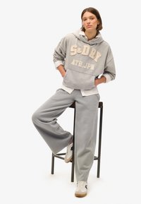 Superdry & Co ATHLETIC ESSENTIALS  - Sudadera - grey marl