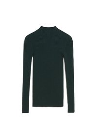 Maglione a collo alto a coste di colore verde scuro. Maniche lunghe, design aderente, tessuto testurizzato. Nessun motivo visibile o dettagli in metallo.