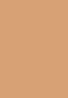 N°430 honey beige