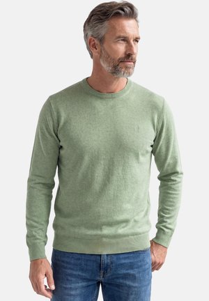 Middle-aged man with gray hair and beard wearing a light green crew neck sweater and blue jeans, looking to the side against a white background.