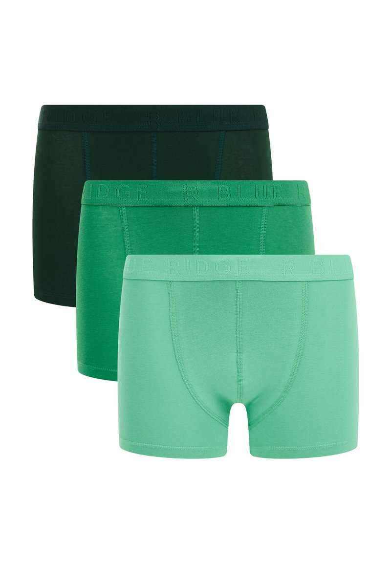 WE Fashion 3-PACK - Hlačke - green