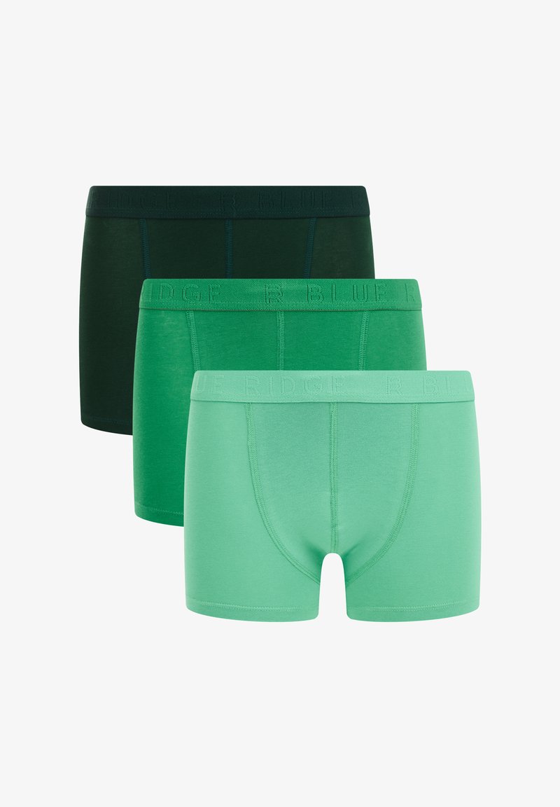 WE Fashion BLUE RIDGE - Hlačke - green