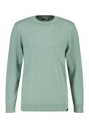 Helles grünes Crewneck-Sweatshirt aus weichem Strickmaterial, mit langen Ärmeln und gerippten Bündchen und Saum. Klassische Passform mit minimalen Details.
