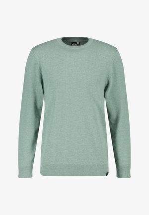 Helles grünes Crewneck-Sweatshirt aus weichem Strickmaterial, mit langen Ärmeln und gerippten Bündchen und Saum. Klassische Passform mit minimalen Details.