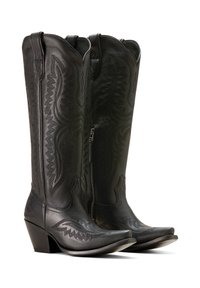 Botas de vaquero de cuero negro con un intrincado bordado, punta afilada, tacón alto y una cremallera lateral para ponerlas y quitarlas fácilmente.