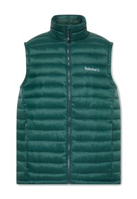 AXIS PEAK DURABLE WATER REPELLENT - Weste - green gables