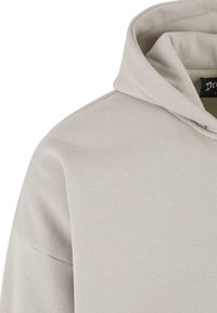 Light gray hoodie with a soft texture, featuring a large hood and minimal stitching details. The design includes a label inside the neckline.
