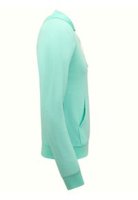 Mintgroene sweatshirt met capuchon, lange mouwen, kangoeroezak en geribbelde manchetten. Gladde stofstructuur overal.