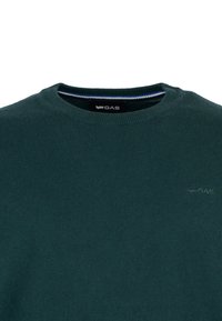 Maglione verde scuro con colletto a girocollo a coste e logo discreto sul petto. Realizzato in un tessuto morbido con una texture liscia.
