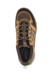 Brauner Wanderschuh mit einem Obermaterial aus Wildleder und Synthetik, grauen Schnürsenkeln, verstärkter Zehenkappe, strukturiertem Sohlenprofil und einem Zugschlaufen an der Rückseite.