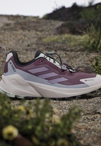Lila-weißer Adidas Terrex Gore-Tex Trailrunning-Schuh, der auf einem Kiesweg mit grünen Pflanzen im Vordergrund ruht.