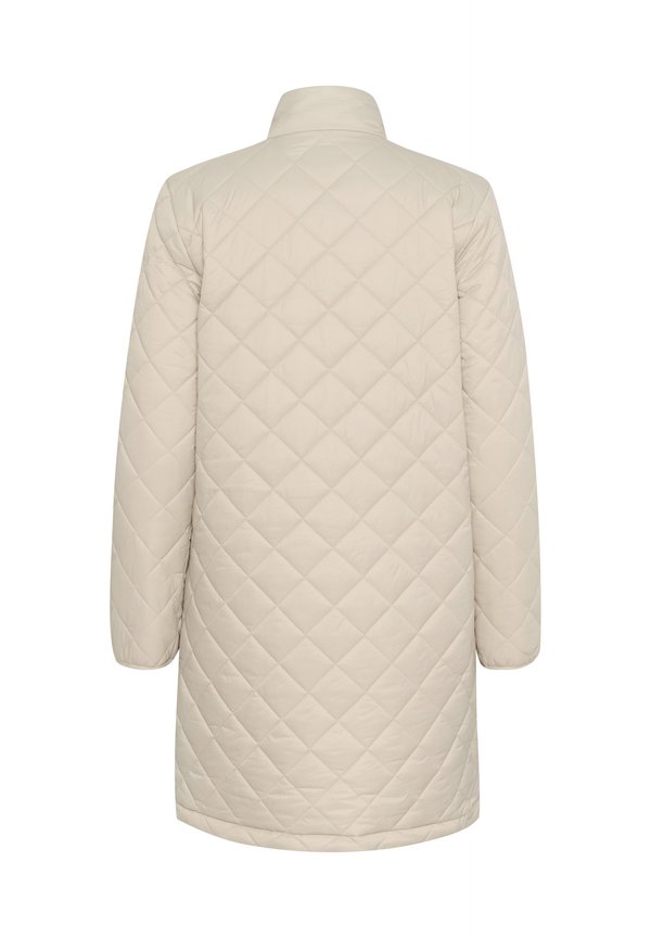 ALOREEN - Winter coat - feather gray2