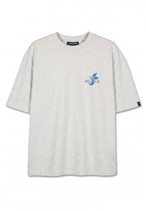 Pegador, PALMELA OVERSIZED TEE - Printtipaita - cloud grey melange