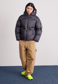 Alpha Industries CLOUD - Ziemas jaka - vintage grey