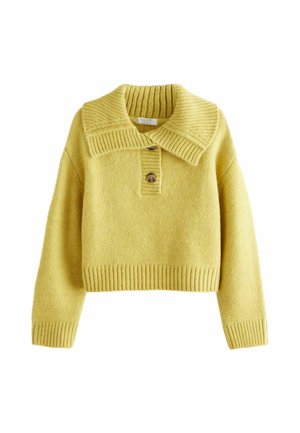 REGULAR FIT  COLLAR  - Strickpullover - olive green