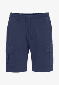 Pasirinkta, dress blues