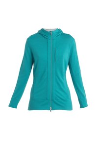 Felpa con zip di colore teal realizzata in tessuto morbido. Caratterizzata da cappuccio, maniche lunghe e due tasche frontali. Texture liscia con dettagli di cucitura minimi.