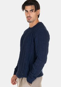 Maglione lavorato a maglia blu navy con un motivo a treccia testurizzato, scollatura rotonda e polsini a coste, indossato con pantaloni di colore chiaro.