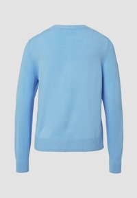 Lichtblauwe sweater van zacht materiaal, met een ronde halslijn, lange mouwen en een ribgebreide zoom. Eenvoudig ontwerp zonder patronen of accenten.