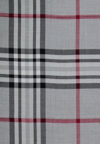 Gråternet tekstil med skiftende tynde og tykke striber i sort, hvid og rød. Stoffet har en glat overflade og tæt vævning.