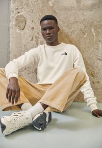 The North Face RAGLAN CREW - Felpa - gardenia white