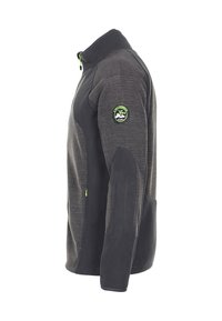 Mænds fleecejakke i mørkegrå med grønne lynlåsdetaljer, der har en lynlås-krave og logo-patch på venstre ærme. Glat tekstur.