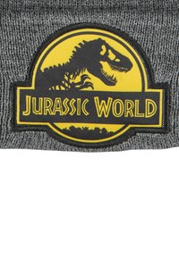 Gray knit beanie featuring a yellow and black embroidered patch with a dinosaur silhouette and "Jurassic World" logo.