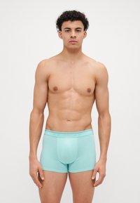 Boksarice v mint zeleni barvi z elastičnim pasom z znamko "JACK & JONES"; narejene iz gladkega, raztegljivega materiala.