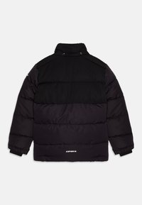 Icepeak LOUIN - Skijakke - anthracite