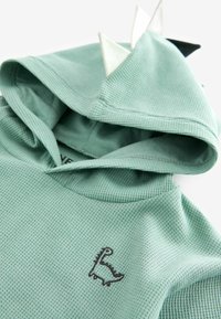 Mintgrön hoodie med en strukturerad tyg, med broderad svart dinosaurie och gråvitrutiga taggar på huvan.