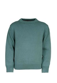 Grüner gestrickter Pullover mit ribbeligem Rundhalsausschnitt, langen Ärmeln und geradem Saum. Die Textur ist glatt und weist dezente Strickmuster auf.