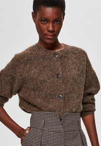 Selected Femme SLFLULU CARDIGAN - Strickjacke - dachshund