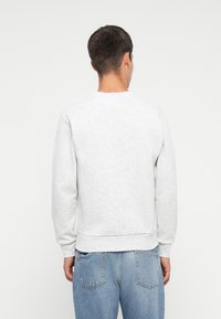 Lichtgrijze katoenen sweatshirt met een ronde hals, lange mouwen en geribbelde manchetten, met een zachte textuur en een ontspannen pasvorm aan de achterkant.