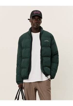 NEWPORT JACKET - Winter jacket - pine green