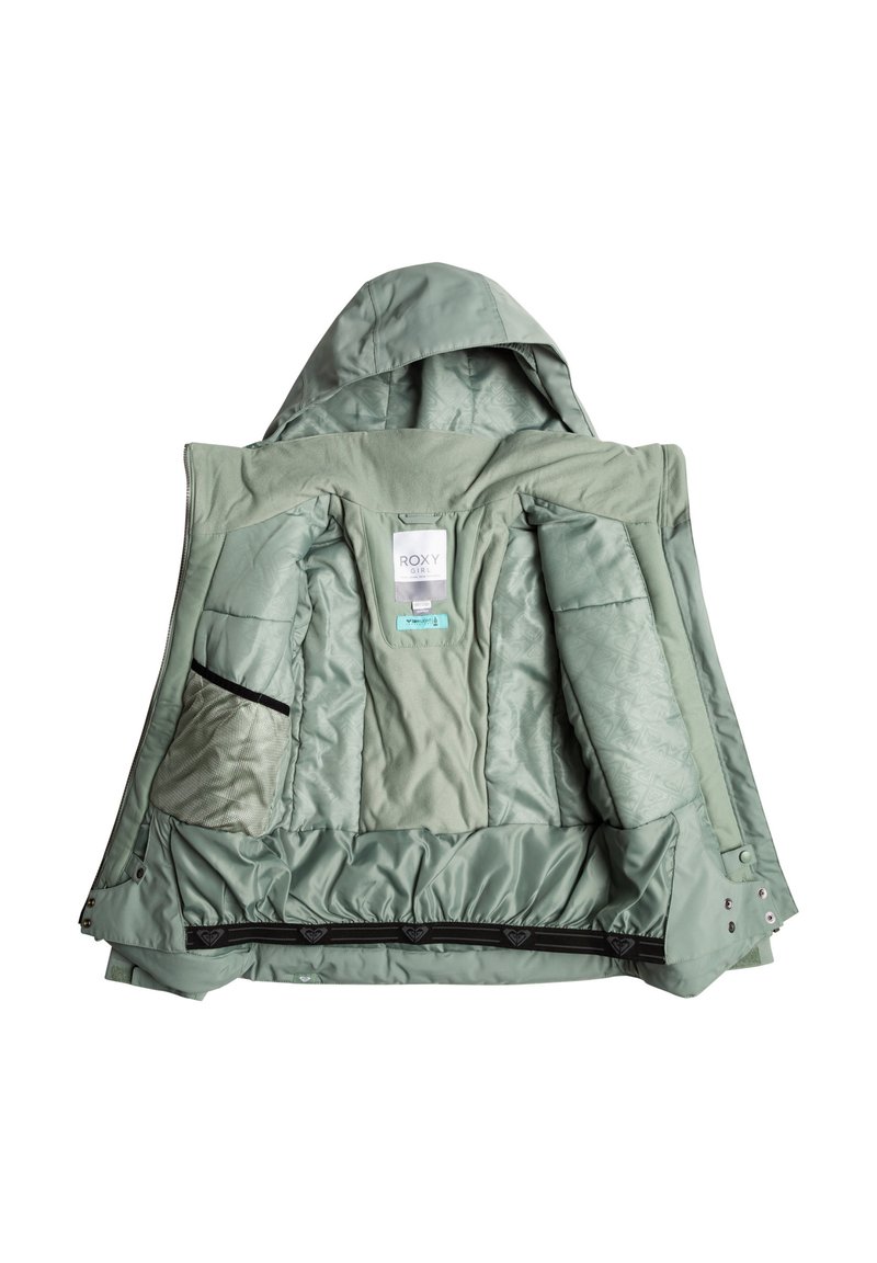 Roxy MEADE Veste de ski green/vert