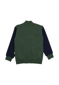 Grüne und marineblaue Pulloverjacke mit Rundhalsausschnitt, gerippten Bündchen und glatter Stoffoberfläche. Plain Rückseite ohne zusätzliche Muster oder Details.