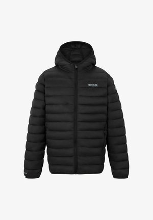 Regatta, REGATTA HOODED MARIZION PADDED JACKET INSULATED JACKETS UNISEX - Winterjacke - black