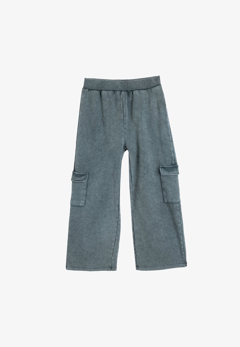 Grijze cargobroek met een elastische tailleband, twee zijzakken en een losse pasvorm. De stof heeft een zachte textuur en een vervaagde uitstraling.