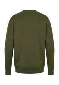 Pull vert olive à manches longues avec col rond, poignets et ourlet côtelés, vu de dos sur fond blanc.