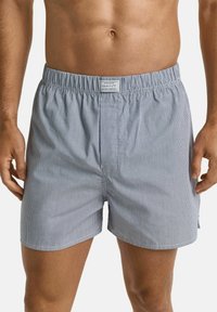 Shorts de bain pour hommes rayés bleu et blanc avec une taille élastique et une petite étiquette logo près de l'ourlet. Tissu léger et coupe décontractée.