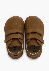 Pisamonas Beebijalatsid - topo