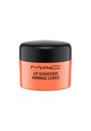 LIP SCRUB - Lip scrub - candied nectar