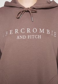 Abercrombie & Fitch Hoodie - brown