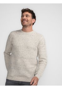 Light-colored knit sweater with a textured pattern, round neckline, and ribbed cuffs. Material appears soft, with flecks of darker color.