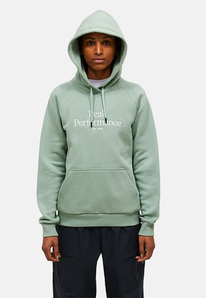 Persoon draagt lichtgroene hoodie met de tekst "Peak Performance" en zwarte broek, staand naar voren gericht tegen een effen achtergrond.