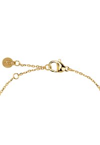 Kullan kultainen ranneketju hummerilukolla ja säädettävällä jatkopalalla. Siinä on sileä, kiiltävä pinta ja hienostunut linkkikuosi.