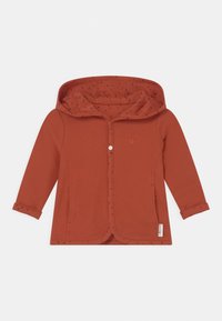 Wybrany, spicy ginger