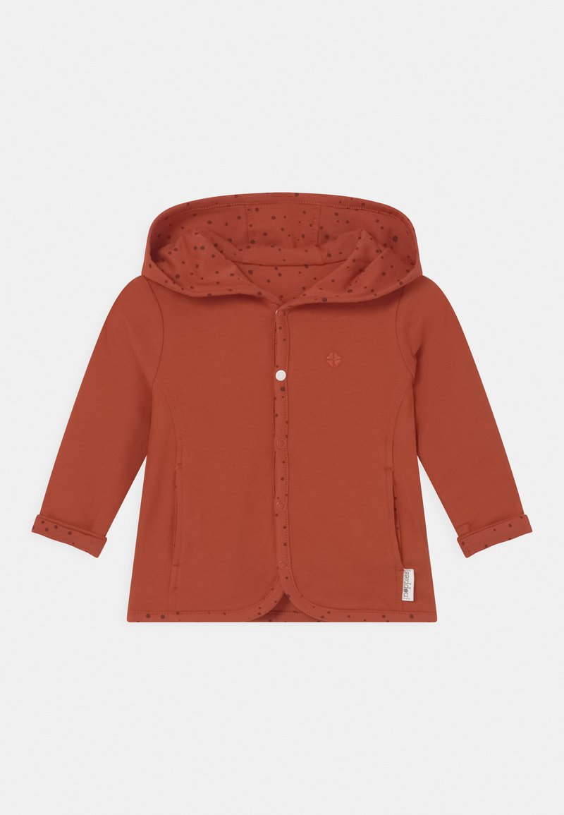 Noppies Strickjacke - spicy ginger